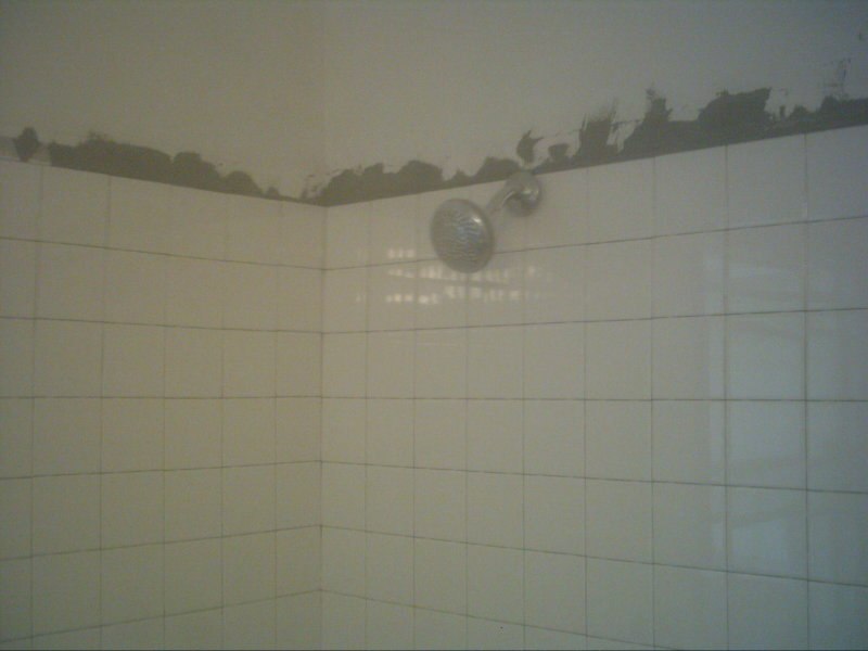 Shower tile